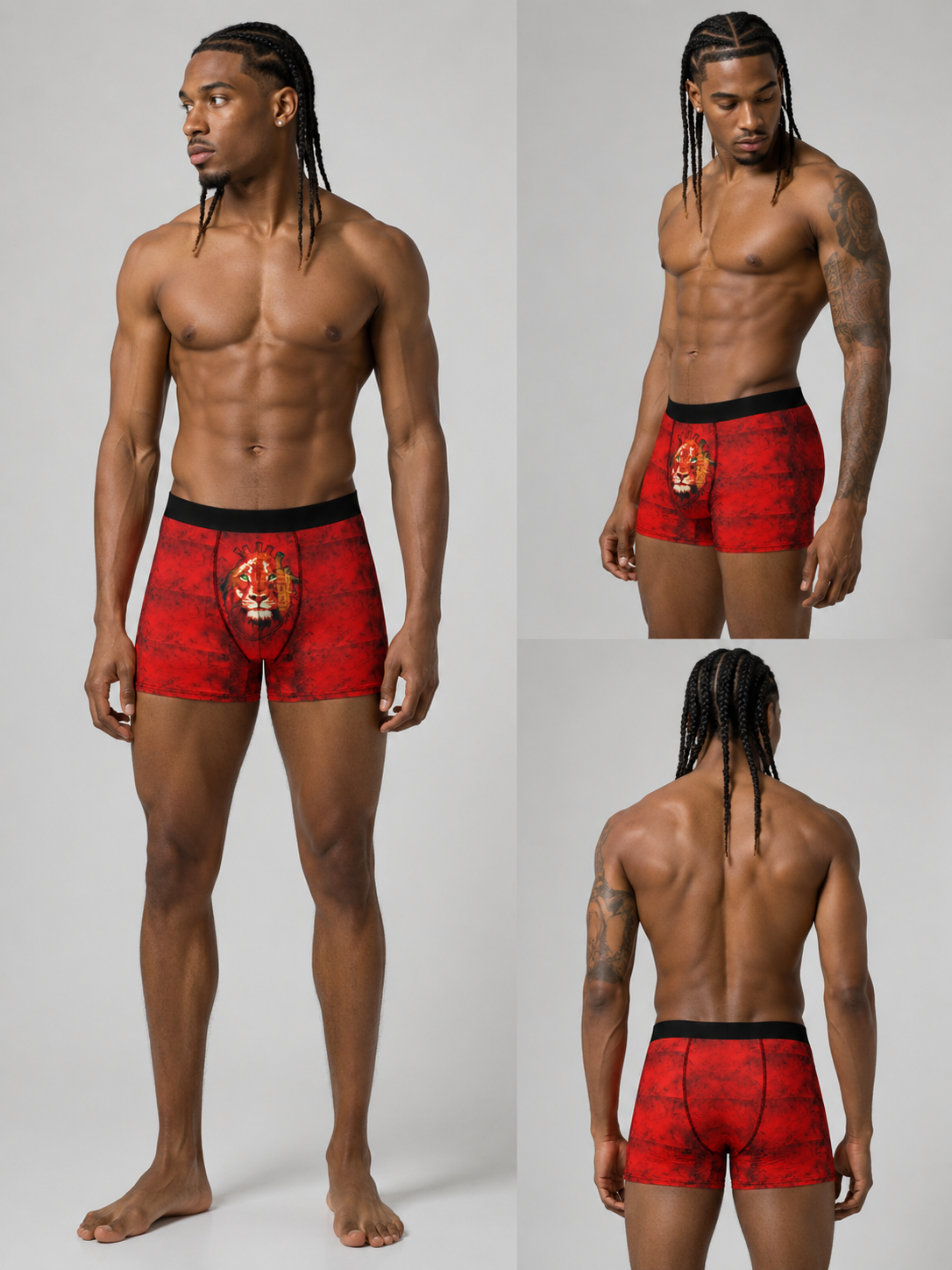 Lion Boxer Briefs | Abstract Print